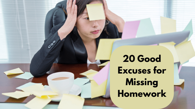 20 Good Excuses for Missing Homework image